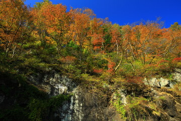 Fototapeta premium 岩手県花巻市 紅葉の平良木の立岩