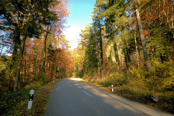 Fototapeta premium Farbenfroher Wald in Liechtenstein 11.11.2020