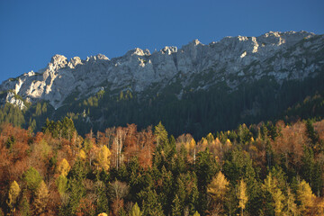 Herbstlicher Wald und die Berge in Liechtenstein 11.11.2020