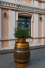 Naklejka premium Small Christmas tree atop wooden barrel with golden hoops. Outdoor holiday decoration in front of retro building ornate facade