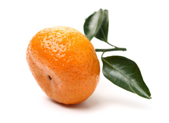 tangerine orange on white background 