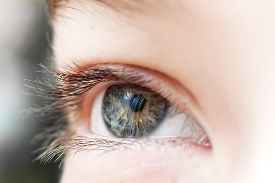 Human eye close up. macro photo