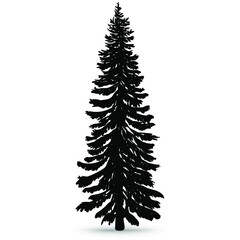 Naklejka premium A large forest tree. Hand-drawn silhouette, vector illustration on a white background.