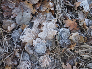 Abstract background of snow and spring ground with dry grass close up