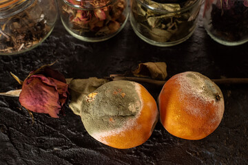 Two rotten oranges with mold (Penicillium italicum), on dark base with dried rose and glass jars full of flowers and leaves.
