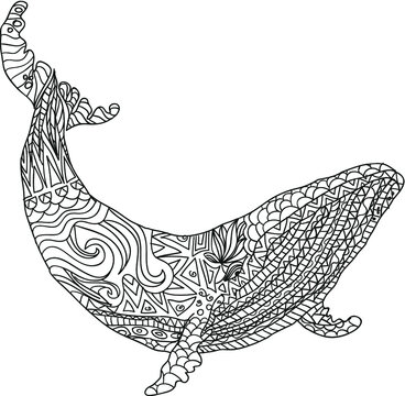 hand drawn illustration with whale. Coloring anti stress black and white.