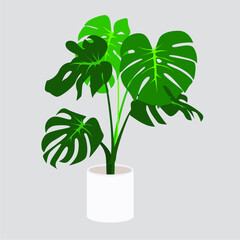 illustration of little plants