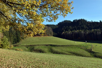 Herbstlandschaft in Kirchzarten bei Freiburg