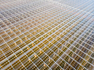aerial view of a modern agricultural greenhouse