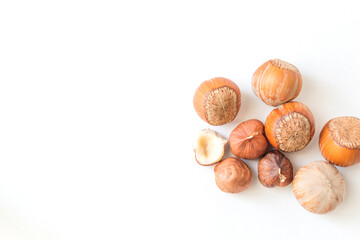 Hazelnut on a white background.