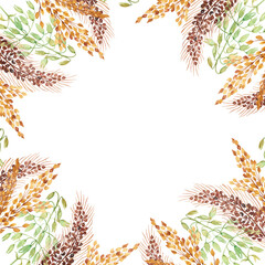 Watercolor hand painted nature grain field squared border frame with brown, golden and green cereal branches composition on the white background for invite and greeting card with space for text