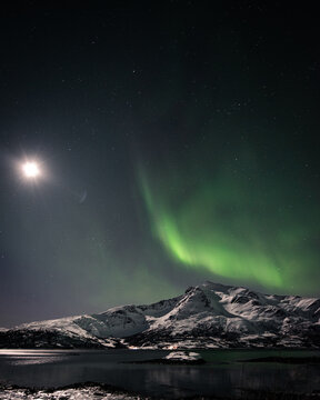 Aurora in Norway © David