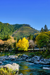 【東京都】御岳渓谷の渓流と紅葉