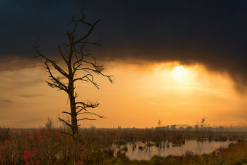 Herbst im Goldenstädter Moor