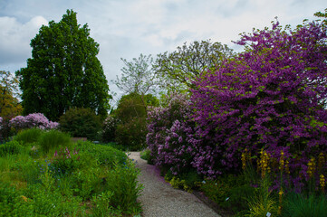 Berggarten - Herrenhäuser Gärten - Hannover	
