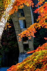 【東京都】御岳渓谷の紅葉