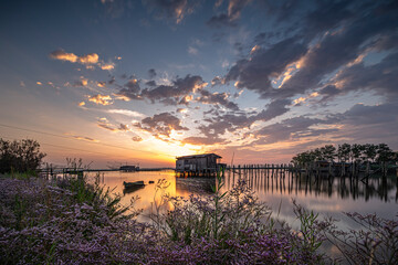 Esplosione di colori
