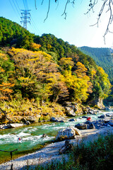 【東京都】御岳渓谷の渓流と紅葉
