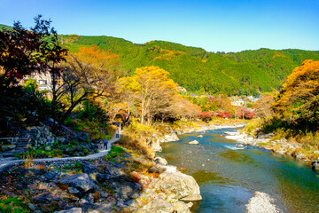 【東京都】御岳渓谷の渓流と紅葉