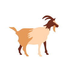 Goat silhouette made of multi-colored segments. Farm illustration.