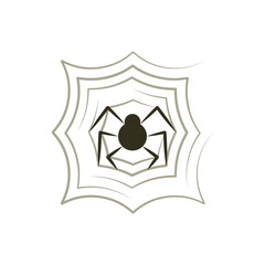 spider and web vector illustration design