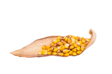 Corn grains are scattered by a handful on a dry corn leaf carved on a white background