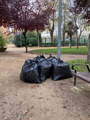 garbage in the park