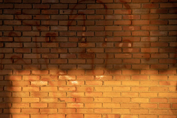 Red brick wall close up. Brick wall in sunlight for use as  texture for background and wallpaper,