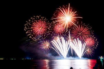 Fireworks light up the sky during the New Year festivities.