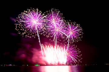 Fireworks light up the sky during the New Year festivities.