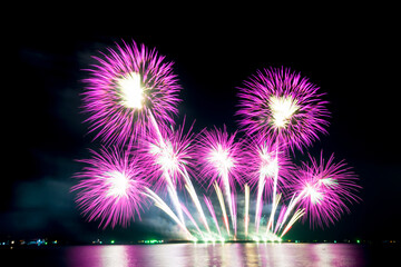 Fireworks light up the sky during the New Year festivities.