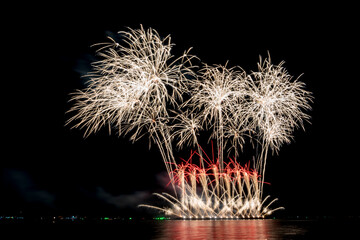 Fireworks light up the sky during the New Year festivities.