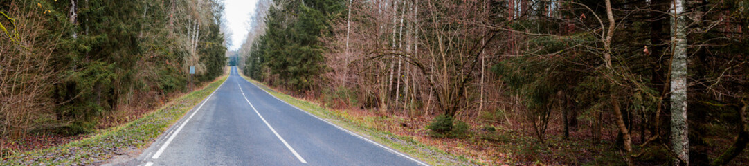 Fototapeta na wymiar panorama of an asphalt road in the forest