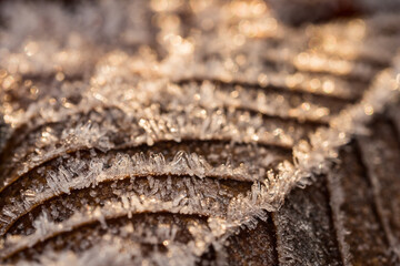 a close up capture of an ice crystals on a leaf