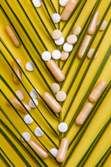 Pills close up. Green leaf
