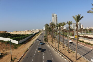 Israel Netanya highway palm trees