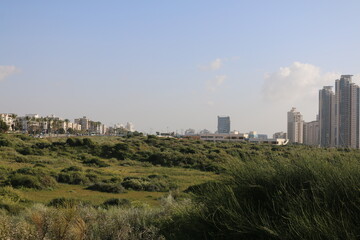 Fototapeta na wymiar panoramic view of the village of Israel Netanya