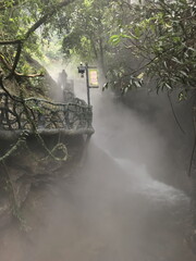 Tropical park in China