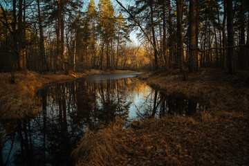 river in autumn