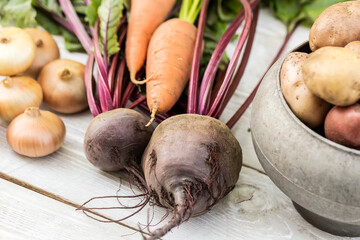 Still life of of vegetable Root crop
