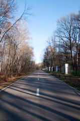 The asphalt road is being cooked. Background, texture. Autumn day in the park.