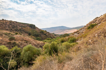 Hills overgrown  with greenery near the HaTanur waterfall, which is located in the continuation of the rapid, shallow, cold mountain Ayun river in the Galilee in northern Israel