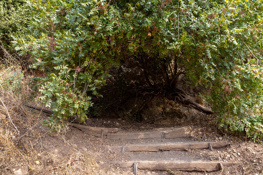 Old Wooden  Steps On The Road Near The HaTanur Waterfall, Which Is Located In The Continuation Of The Rapid, Shallow, Cold Mountain Ayun River In The Galilee In Northern Israel