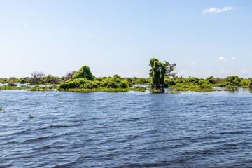 Naklejka premium Rivière Sangker, Cambodge
