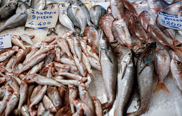 Freshly caught fish on market, Crete, Greece