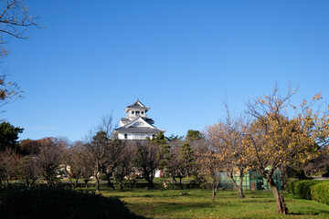 滋賀県の長浜城