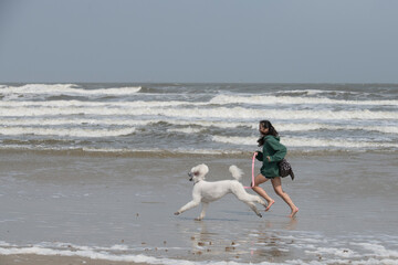 Teenage Asian girl running with a white standard poodle dog on the Galveston Island, Texas beach