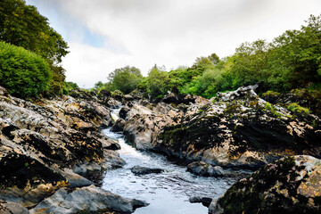 Rugged landscape at Malin Head, County Donegal, Ireland. Beach with cliffs, green rocky land with sheep on foggy cloudy day. Wild Atlantic Way region.