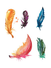 Illustration with feathers in defferent colors. 
