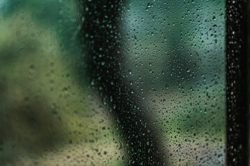raindrops on a window, background a tree